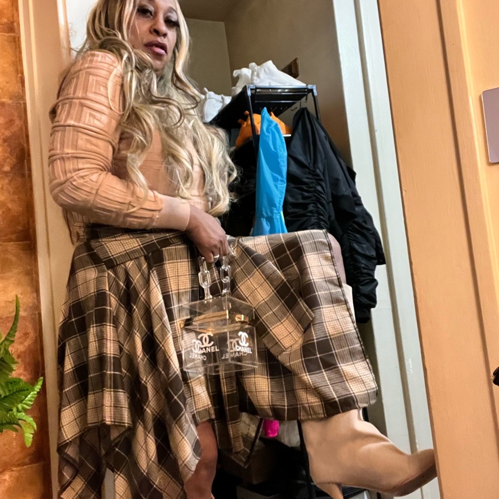 Plaid Skirt with Beige Top and Clear Bag